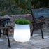 Vaso cilindrico con luce CAMELIA 40